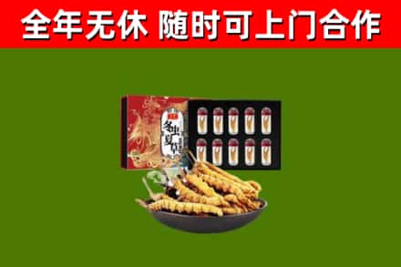 团风回收冬虫夏草价格